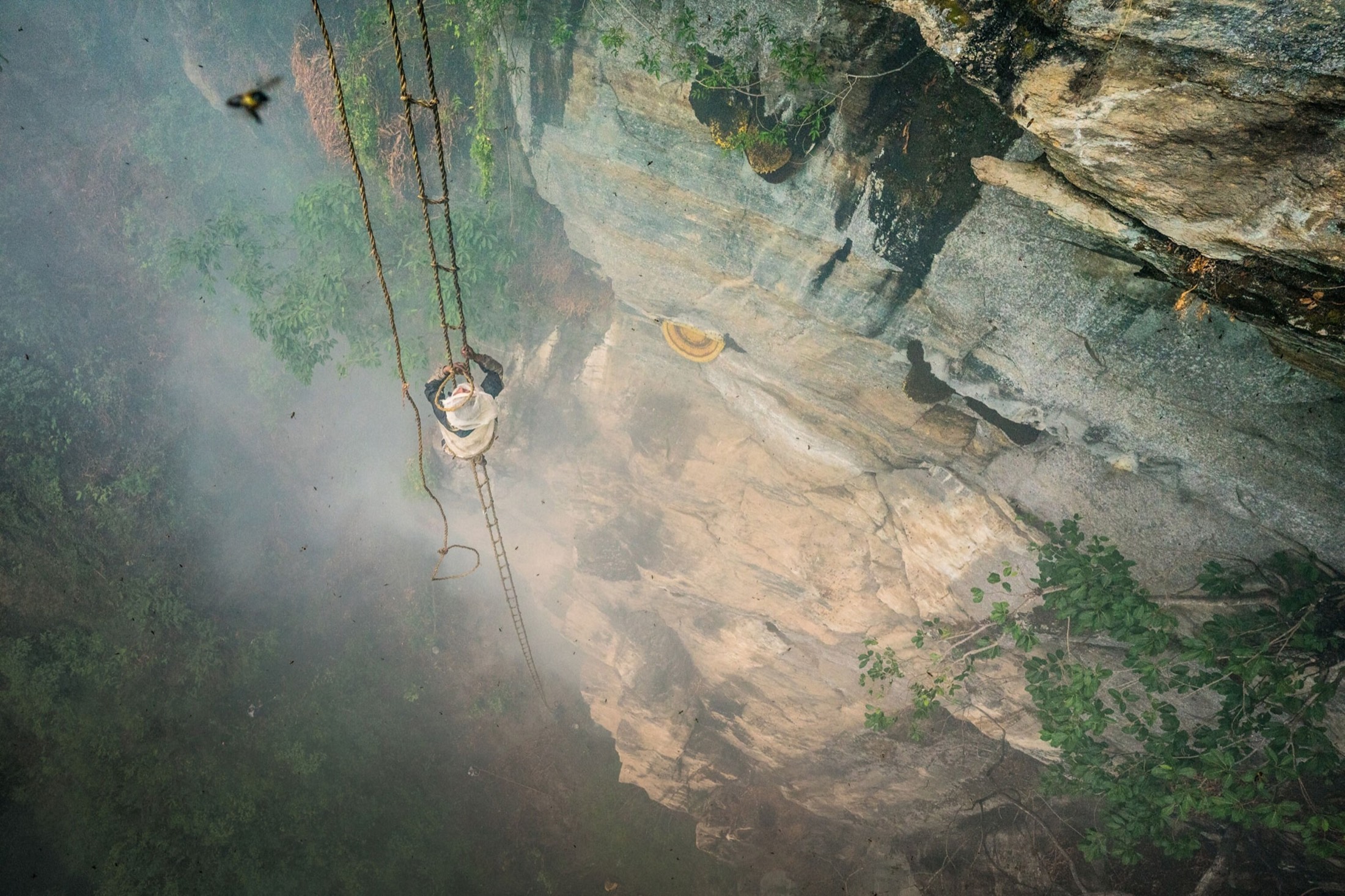 A honey hunter on a rope ladder against a sheer Himalayan cliff, smoke drifting across the rock